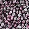 Picasso Glass Seed Beads SEED-N012-10M-3