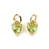 Brass Micro Pave Cubic Zirconia Charms KK-P192-08-G10-1