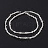 Electroplate Glass Faceted Rondelle Beads Strands EGLA-D020-3x2mm-05-3