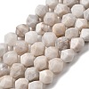 Natural Crazy Agate Beads Strands G-Z119-A12-03-2