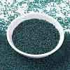 MIYUKI Round Rocailles Beads SEED-X0056-RR3744-2
