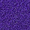 MIYUKI Round Rocailles Beads SEED-G007-RR0176-3
