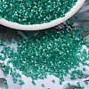MIYUKI Delica Beads SEED-X0054-DB1813-1
