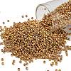 TOHO 11/0 Round Beads SEED-TR11-0722-1