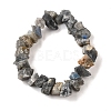 Natural Labradorite Beads Strands G-I283-F14-3