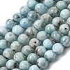 Natural Larimar Beads Strands G-B156-A01-6mm-2