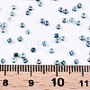 8/0 Glass Seed Beads X-SEED-A016-3mm-217-3