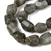 Natural Labradorite Beads Strands G-N342-146-3