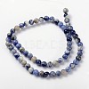 Natural Sodalite Beads Strand GSR8mmC013-3