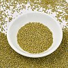 MIYUKI Delica Beads X-SEED-J020-DB2272-2