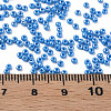 11/0 Czech Opaque Glass Seed Beads SEED-N004-003B-18-6