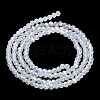 Electroplate Glass Beads Strands EGLA-A035-J3mm-A06-2