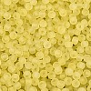 FGB Frosted Transparent Glass Seed Beads SEED-N013-02A-02-3
