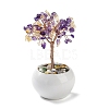 Natural Yellow Quartz & Amethyst Chips Tree Decorations DJEW-M012-01B-1
