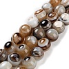 Natural Eye Agate Beads Strands G-NH0019-F02-02-1