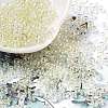 Glass Seed Beads X1-SEED-H002-A-A627-1