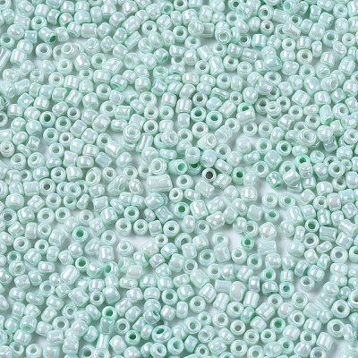 12/0 Glass Seed Beads SEED-S060-A-973-1