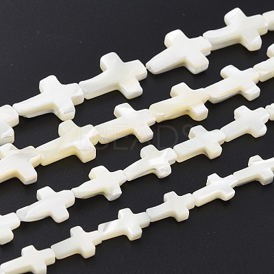 Natural Trochid Shell/Trochus Shell Beads Strands SSHEL-K027-02-1