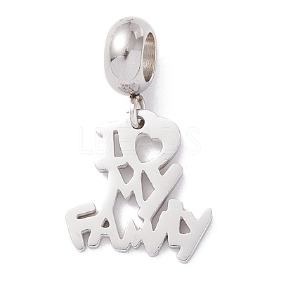 304 Stainless Steel European Dangle Charms STAS-I192-06P-1
