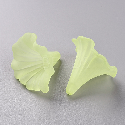 Transparent Acrylic Beads BSF796-C17-1