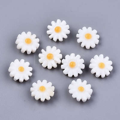 Natural Freshwater Shell Beads SHEL-S266-14B-1
