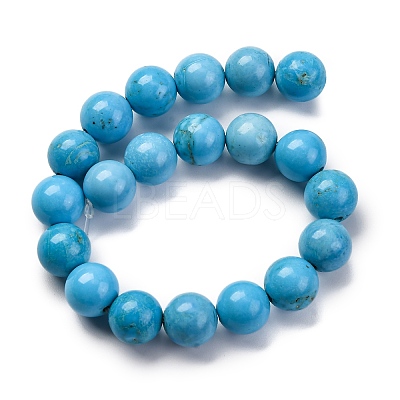 Dyed Natural Magnesite Beads Strands G-P558-A01-01A-1