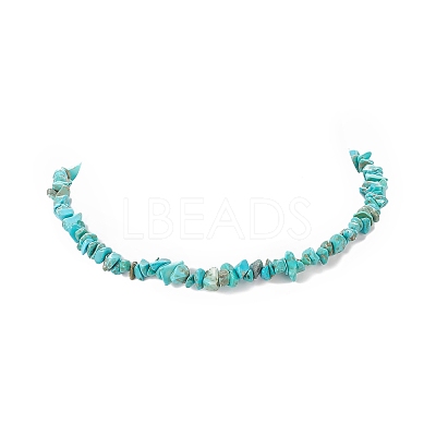 Dyed Synthetic Turquoise Chip Beaded Necklaces with 304 Stainless Steel Lobster Claw Clasp & Chain Extender NJEW-JN04225-05-1