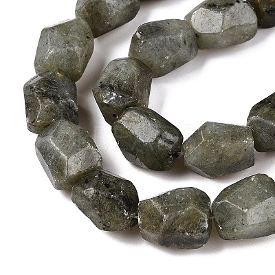 Natural Labradorite Beads Strands G-N342-146-1