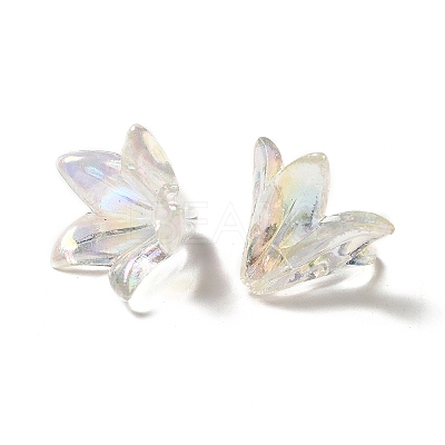 Transparent Acrylic Bead Caps OACR-H016-05-1