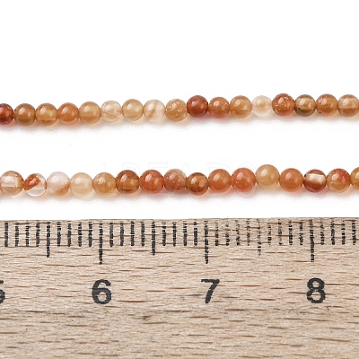Natural Agate Beads Strands G-Z116-A06-2mm-1
