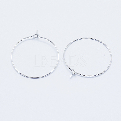 Long-Lasting Plated Brass Hoop Earrings Findings LS-KK-K204-179P-NF-1
