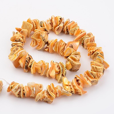 Natural Shell Bead Strands BSHE-P010-06-1