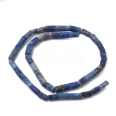 Natural Lapis Lazuli Beads Strands G-L650-L01-01-1