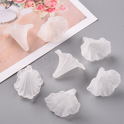 Transparent Acrylic Beads BSF796-1