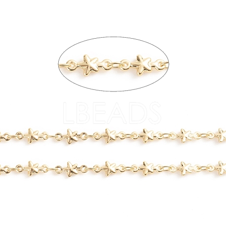 Brass Star Link Chains CHC-E021-12A-1