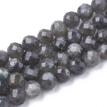 Natural Labradorite Beads Strands G-S345-6mm-005-1