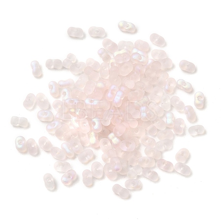 Glass Frosted Seed Beads LS-SEED-NH0002-01B-1