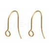 316 Surgical Stainless Steel Earring Hooks X-STAS-P162-13G-B01-1