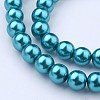 Glass Pearl Beads Strands HY-10D-B52-2