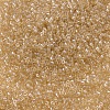 MIYUKI Delica Beads SEED-X0054-DB0101-3