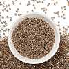 TOHO 8/0 Round Beads SEED-XTR08-0989-3