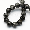 Natural Larvikite Round Beads Strands LS-G-S159-6mm-2