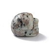 Natural Sesame Jasper/Kiwi Jasper Display Decoration G-C022-01F-4
