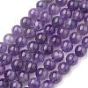 Natural Gemstone Beads Strands X-G-S036-6