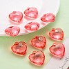 Transparent Acrylic Pendants TACR-T024-03B-910-6
