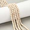 Natural Fossil Beads Strands X-G-K209-05D-4mm-1