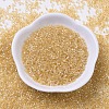 MIYUKI Delica Beads X-SEED-J020-DB0100-2