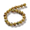 Dyed Natural Regalite/Imperial Jasper/Sea Sediment Jasper Beads Strands G-B124-C01-07-3