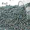 TOHO 11/0 Round Beads X-SEED-TR11-0512-1