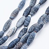 Natural Weathered Agate Beads Strands G-K261-07A-1